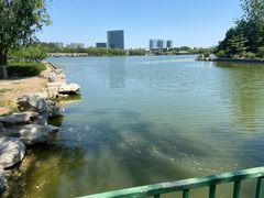 -大兴滨河森林公园