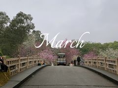 -中国科学院华南植物园