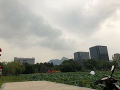 -瑞安第一泡·后街泡泡(虹桥后街店)