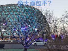 -凤凰中心