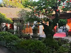 -木子山庄·安徽省老字号·中国炖锅宴