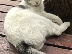 -西安大兴善寺
