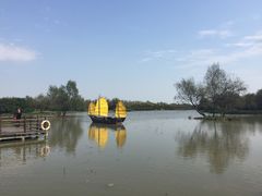 -大湾区中央湿地公园