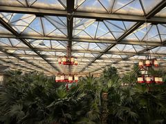 -忆江南·生态餐饮宴会酒店