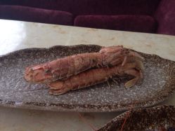 重庆阳光五洲大酒店阳光西餐厅-阳光五洲大酒店·宴会厅