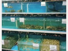 -源海渔村·现捞海鲜(大角湾店)