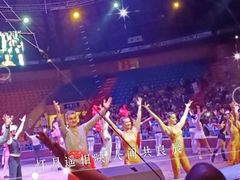 -俄罗斯国家大马戏团