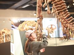 -墨尔本博物馆(Melbourne Museum)