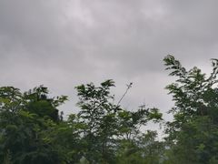 -终南山国家森林公园