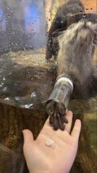 -Zoolung Zoolung动物主题公园(海信广场店)