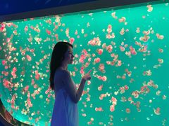 -多彩贵州城极地海洋世界