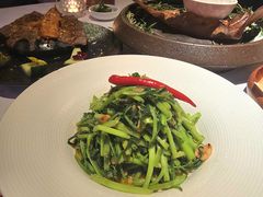 -狮拾久·现代新加坡料理(福田COCO Park店)