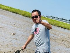 -南汇嘴观海公园