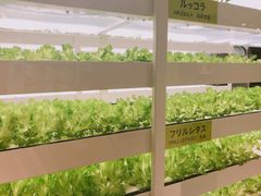 -伊东屋(本店)