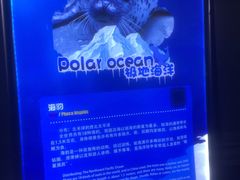 -重庆欢乐海底世界