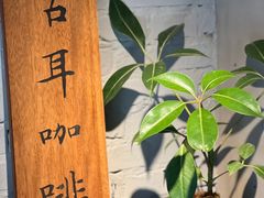 -古耳咖啡(北锣店)