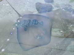 -鸿通城购物中心