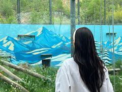 -青藏高原野生动物园