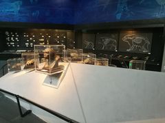 -北京周口店北京人遗址博物馆