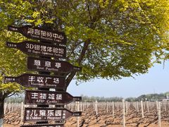 -北京张裕爱斐堡酒庄