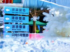 -盈香心动乐园