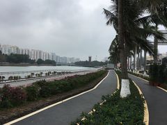 -万绿园