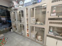 -唐小姐の私宠·宠物洗护美容·撸猫馆·购宠(周浦万达旗舰店)