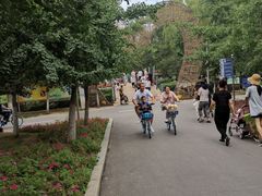 -长白岛森林公园