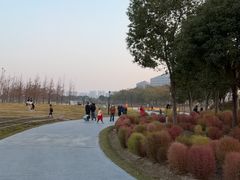 -春花秋色城市公园