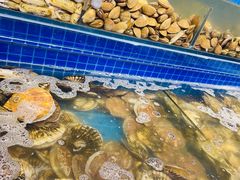 水产区-乔哥铭洋海鲜自助(皇城恒隆广场店)