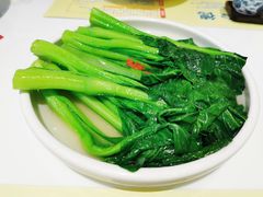 -有心德(麦地店)