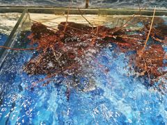 -喜宴又一村·粤菜·茶点·海鲜(壹方天地店)