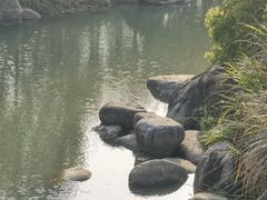 -八大山人梅湖景区