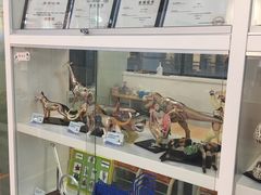 -斯坦星球AI编程·机器人科创·科学实验·信奥·思维·STEM·乐高·竞赛考级(长宁虹桥大融城荟聚中心)