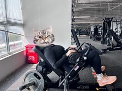 -BOSS健身