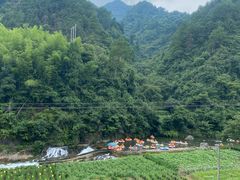-千岛湖九龙溪漂流