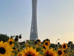 -海心沙亚运公园