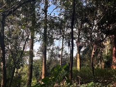 -水濂山森林公园