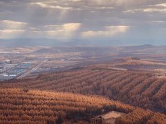 -帽儿山国家森林公园