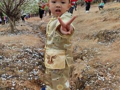 -南国桃园旅游度假区