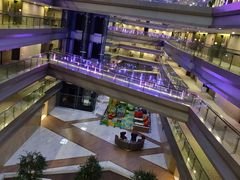 -南京禄口机场雅高铂尔曼大酒店