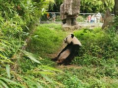 -宁波野生动物园