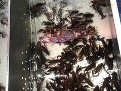 -拙味兄弟龙虾(新香洲店)