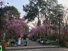 -南山植物园