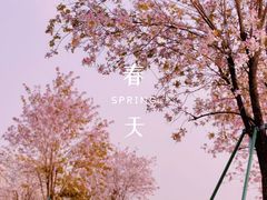 -洲头咀公园