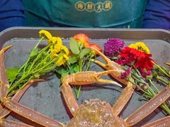 俄罗斯鲜活松叶蟹-喜聚薈·花膠雞海鮮火鍋(越秀店)