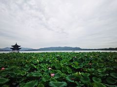 -湖畔居茶楼(湖滨店)