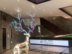 -长白山华美胜地滑雪场