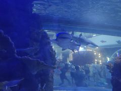 -江和美海洋公园