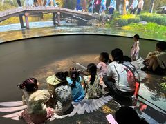 -中国湿地博物馆
